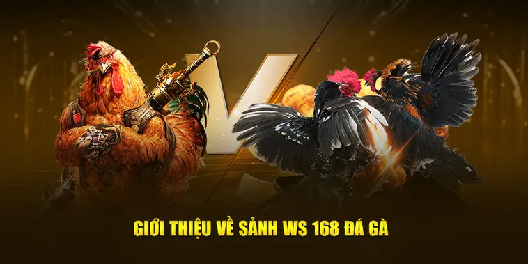 Mẹo Chơi Đá Gà WS168 Tại K8CC Dễ Thắng Cho Mọi Sư Kê