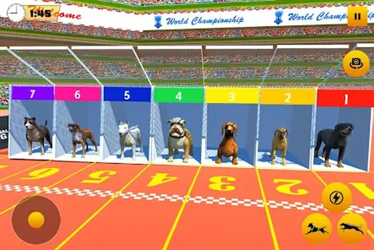 Cách Chơi Game Nhanh Đua Chó Tại K8CC Dễ Thắng Nhất Hấp Dẫn
